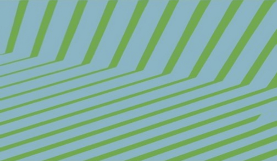 根植武汉 世界视野